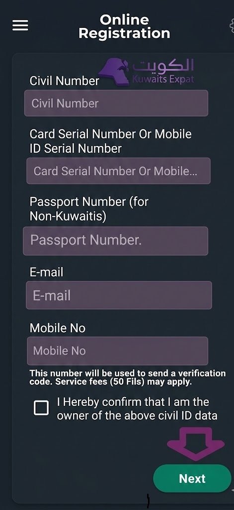 Step 3: Enter your personal details (exactly as requested)